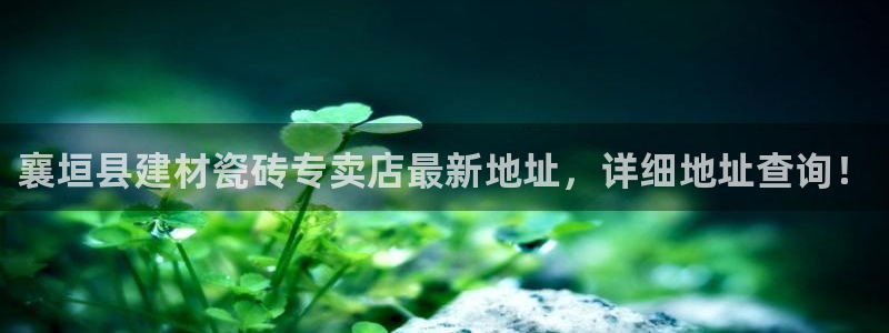 杏鑫3主管