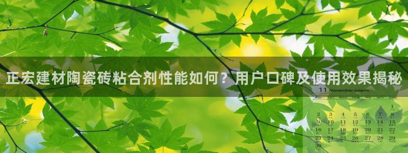 杏鑫官方平台怎么样