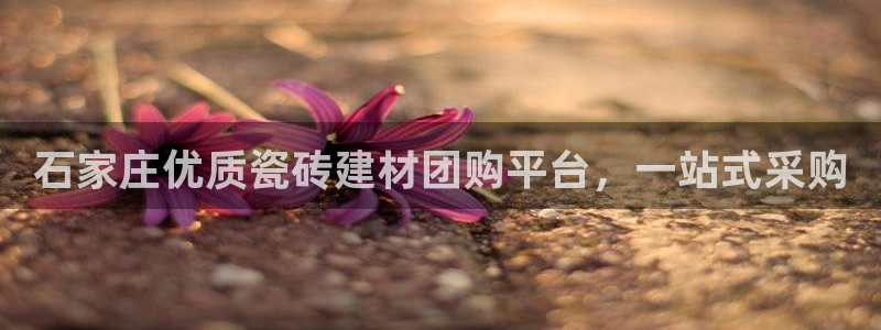 杏鑫娱乐多少年了