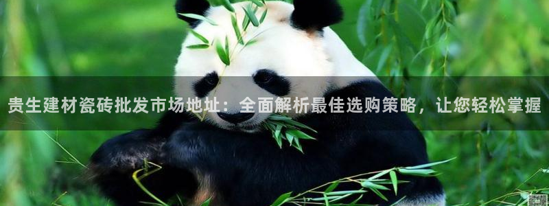 杏鑫娱乐是真的吗