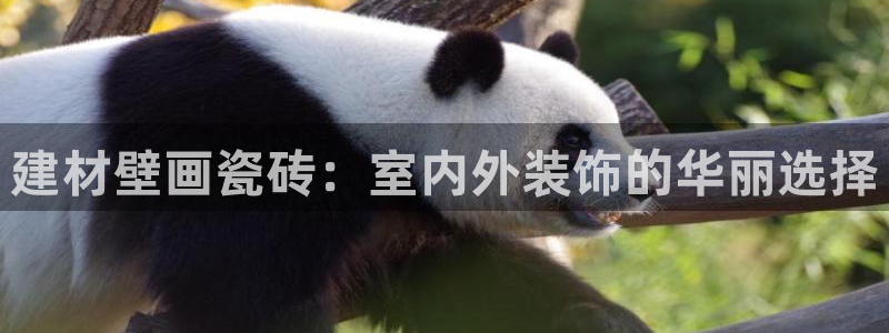 杏鑫招商总代