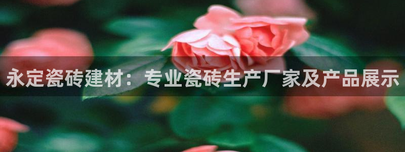 杏鑫平台测速