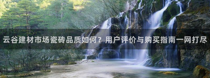 杏鑫手机客户端怎么下载