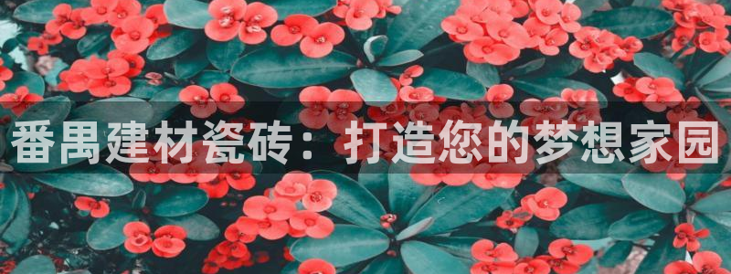 杏鑫平台正规吗是真的吗