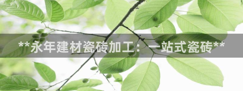 杏鑫娱乐是真的吗知乎