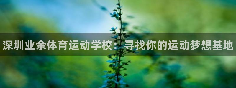 球客岛