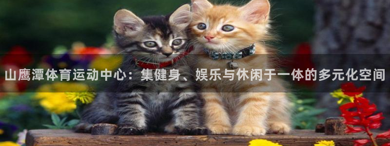 球客岛