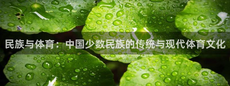 球客岛