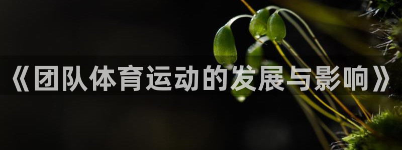 球客岛
