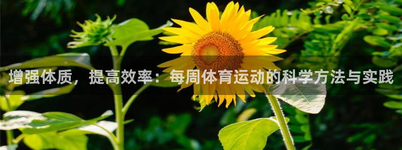 球客岛