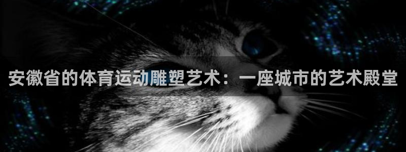 球客岛