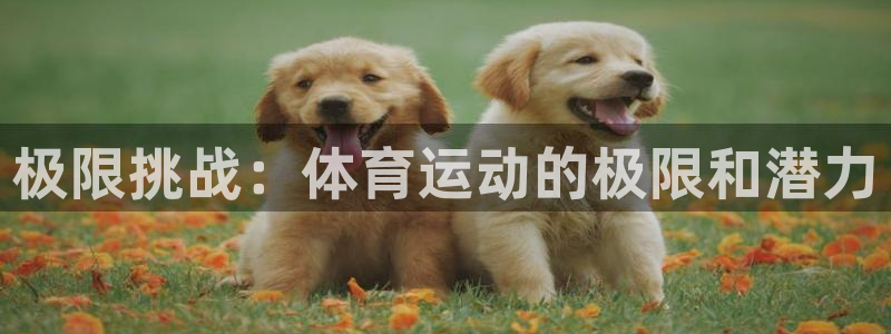 球客岛
