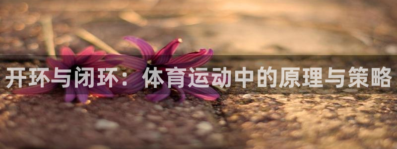 球客岛