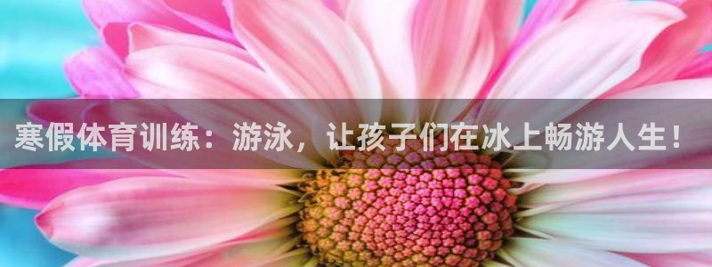 球客岛