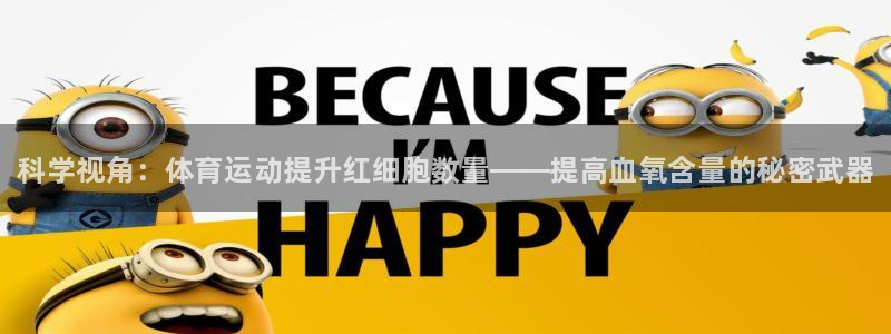球客岛