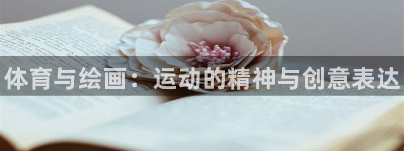 球客岛