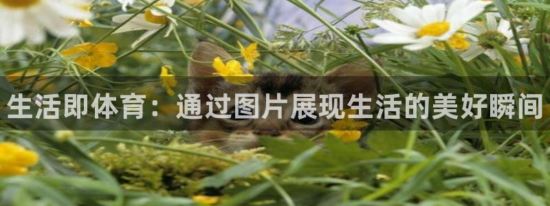 球客岛