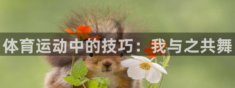 球客岛