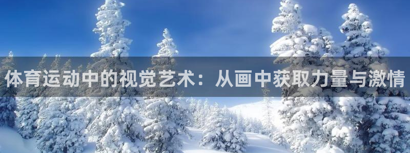 球客岛