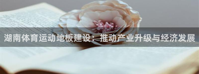 球客岛