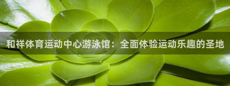 球客岛