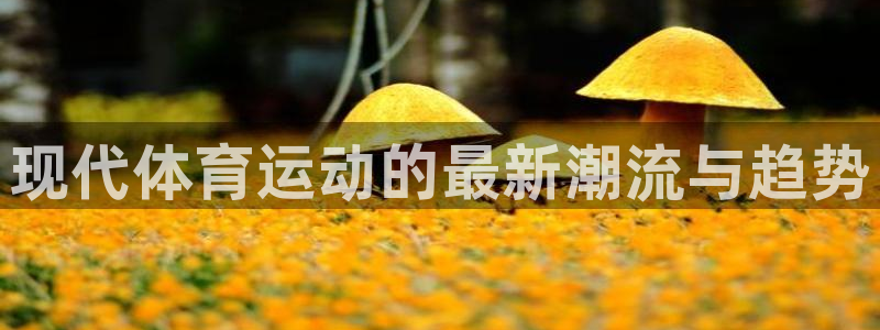 球客岛