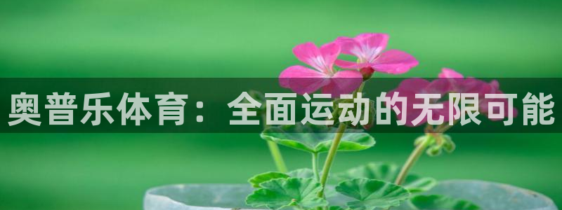 球客岛