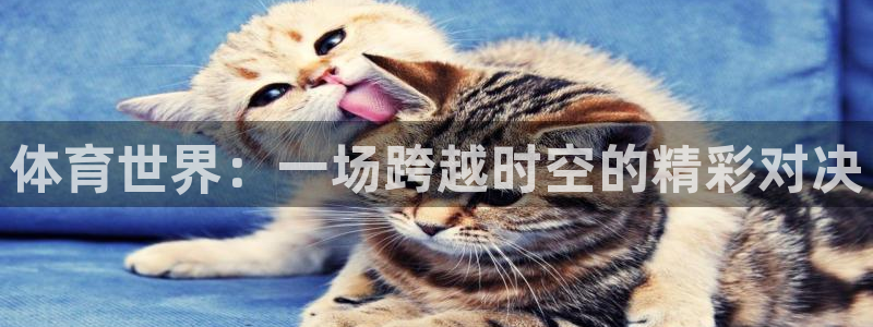 球客岛