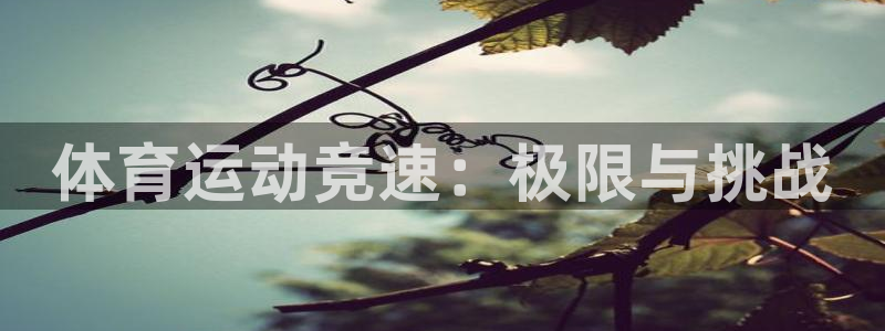 球客岛