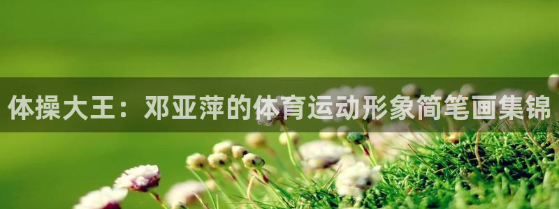 球客岛