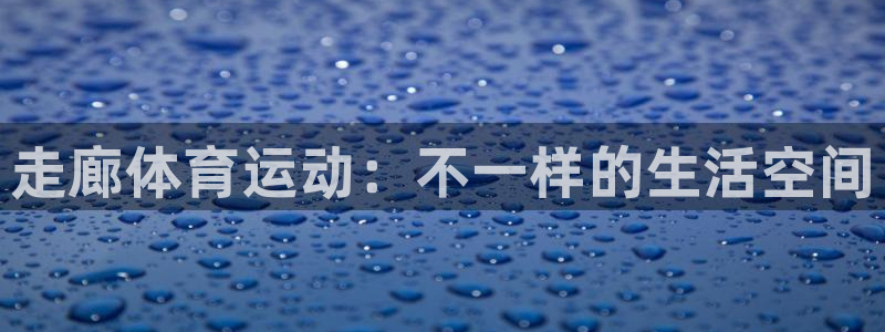 球客岛