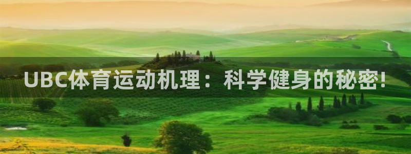 球客岛