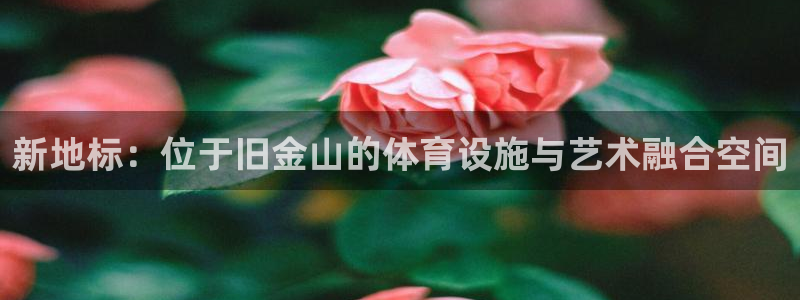 球客岛