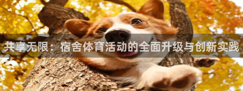 球客岛