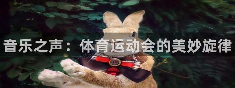 球客岛