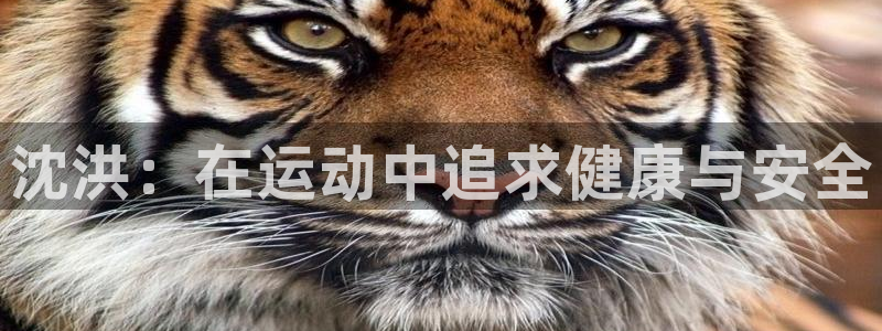 球客岛