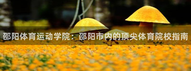 球客岛