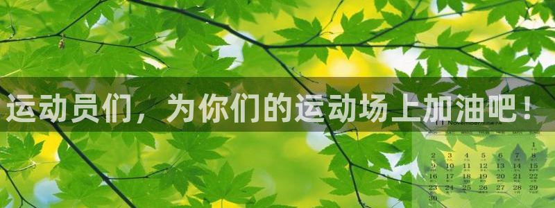 球客岛