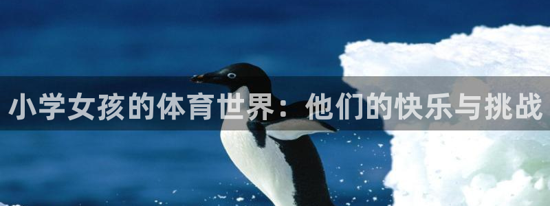 球客岛