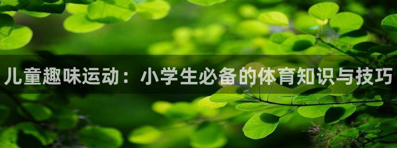 球客岛